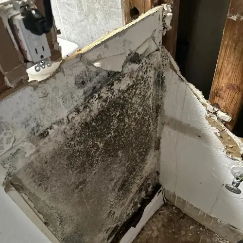 Photo shows a mold infested cabinet at a job site. The owner asked us for our mold remediation services
