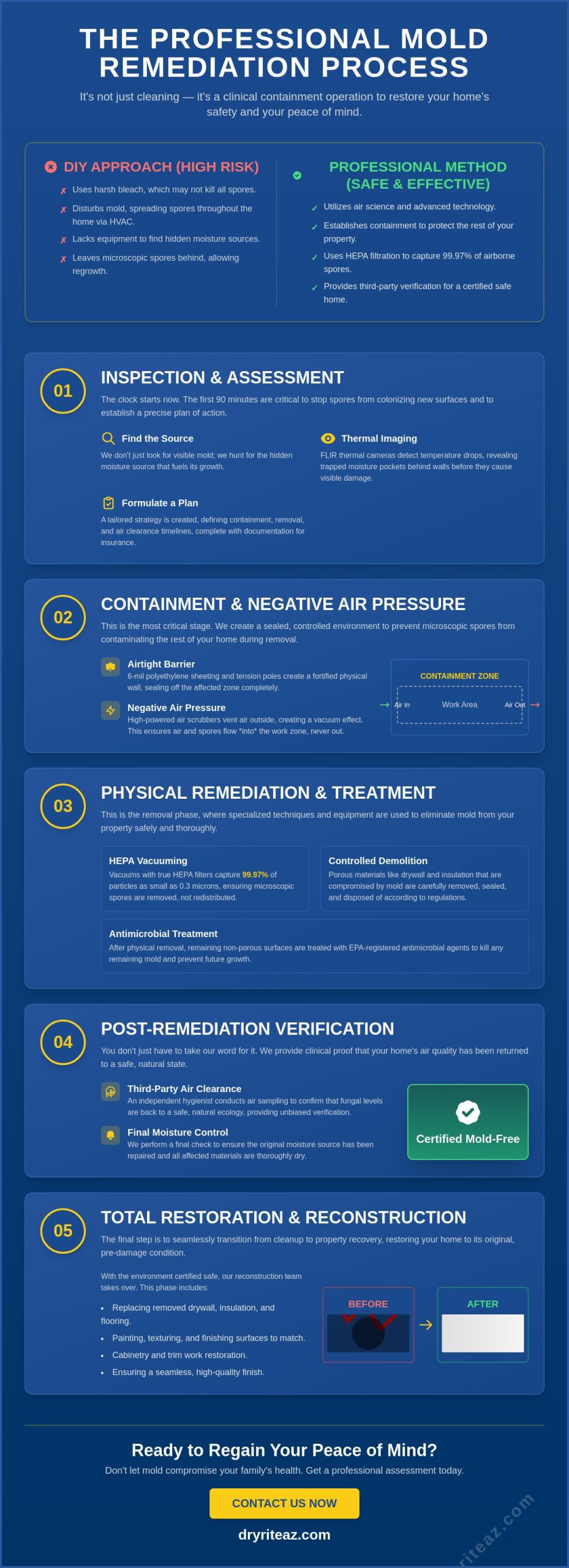 Mold Remediation Process Step by Step: A Homeowner's Guide to Property Recovery
