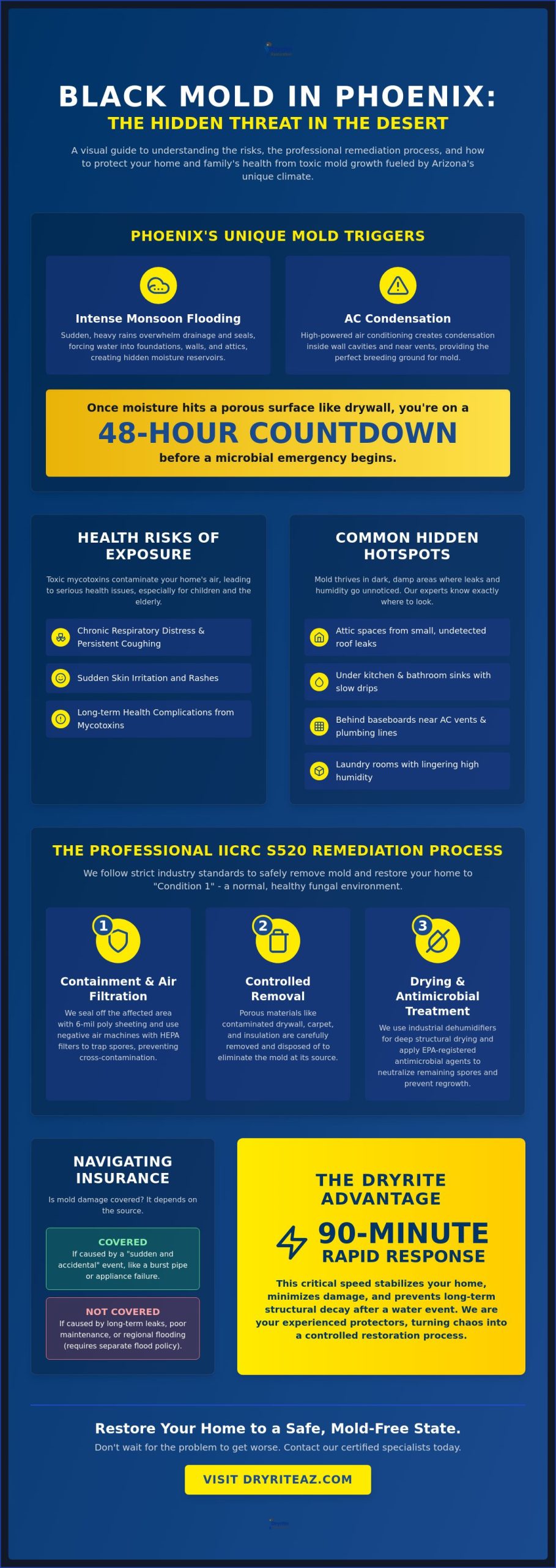 Black Mold Remediation Phoenix: Professional Removal & Property Recovery