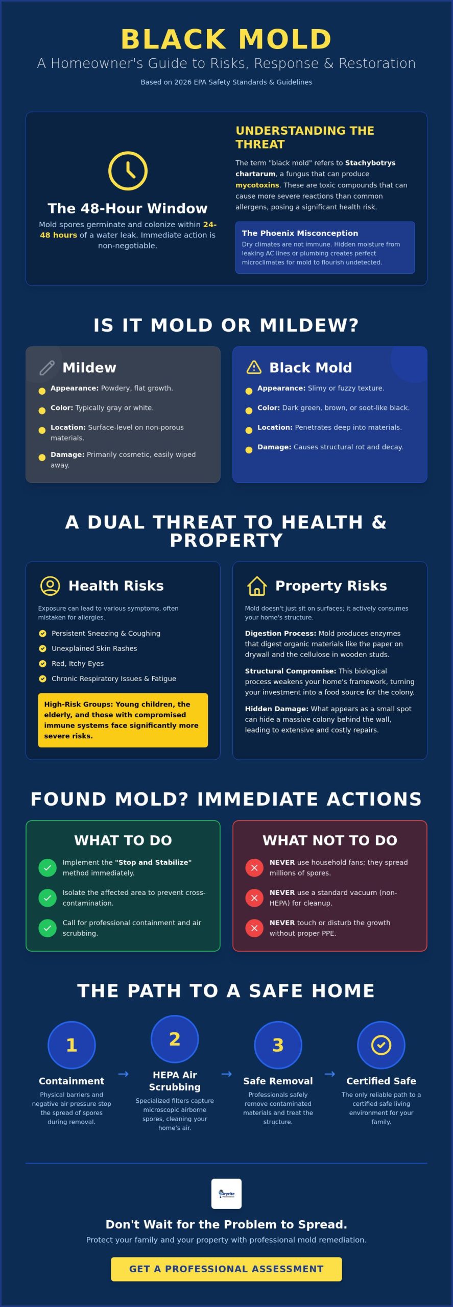 Is Black Mold Dangerous? Facts, Risks, and Recovery Steps for 2026