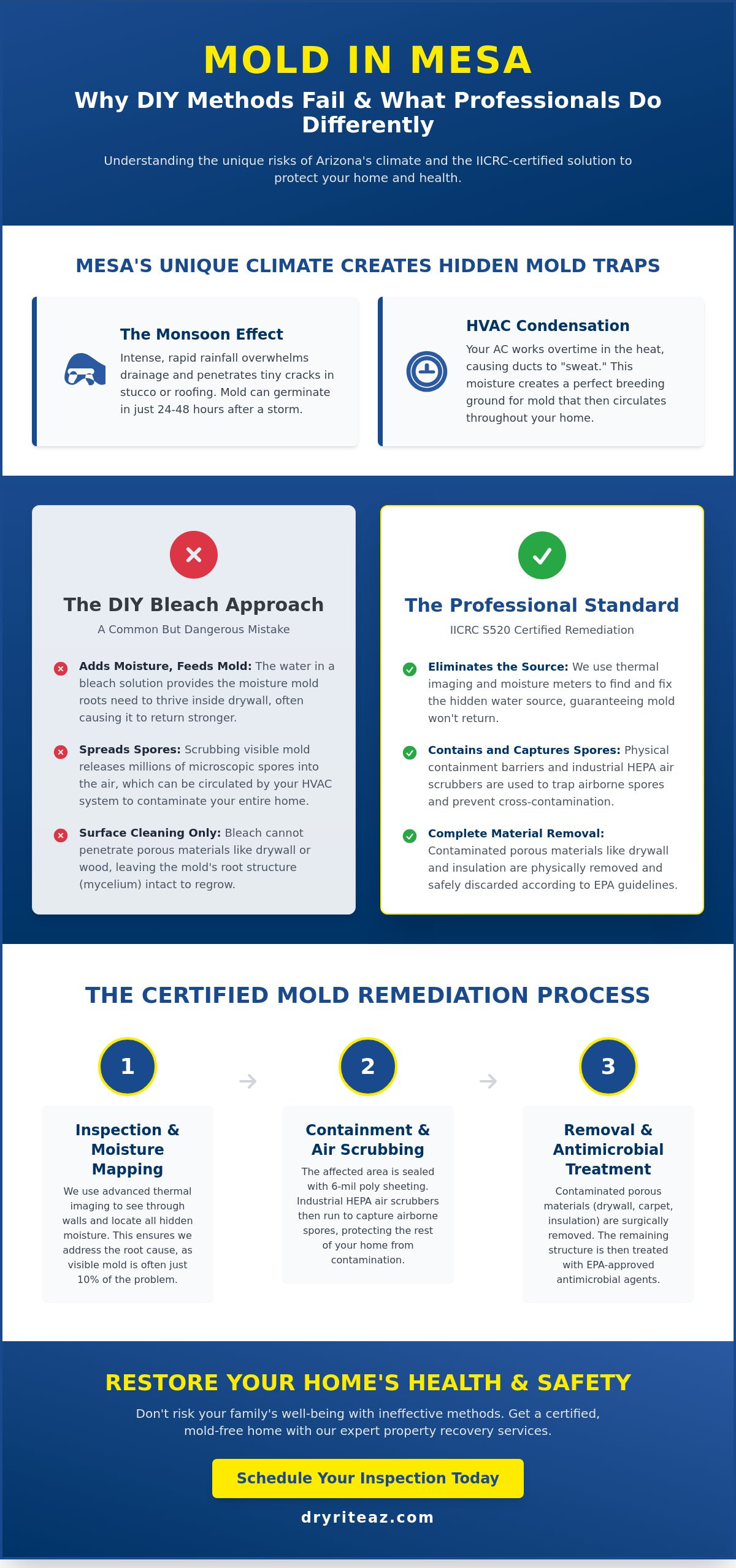 Professional Mold Remediation Mesa AZ: The Complete Property Recovery Guide