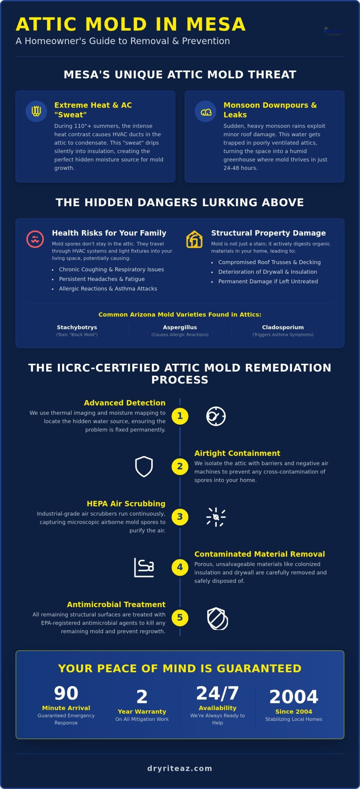Professional Attic Mold Removal in Mesa, AZ: The Homeowner’s Guide to Safe Remediation