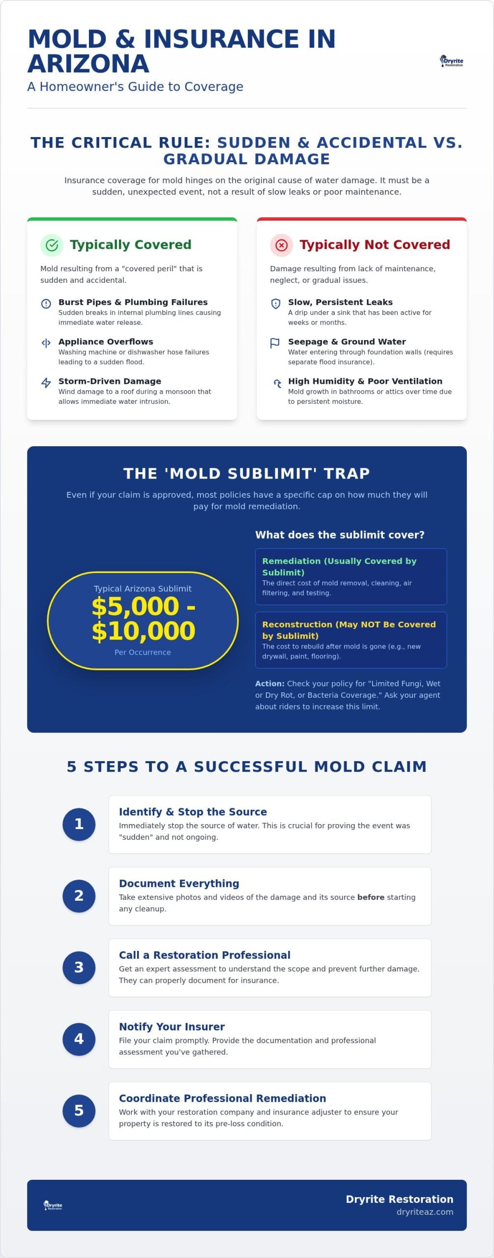 Does Homeowners Insurance Cover Mold Removal in Arizona? (2026 Guide)